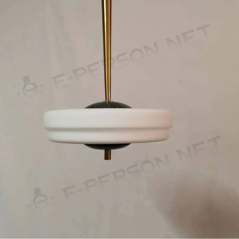 LED ceiling light (14)