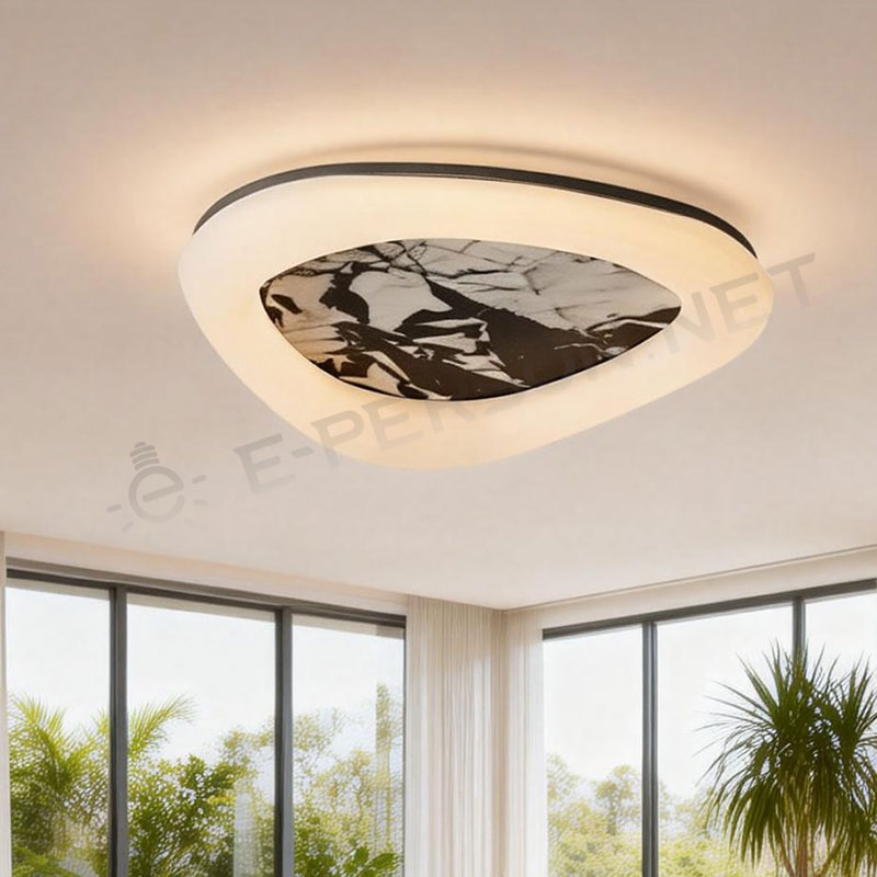 irregular ceiling lamp (9)