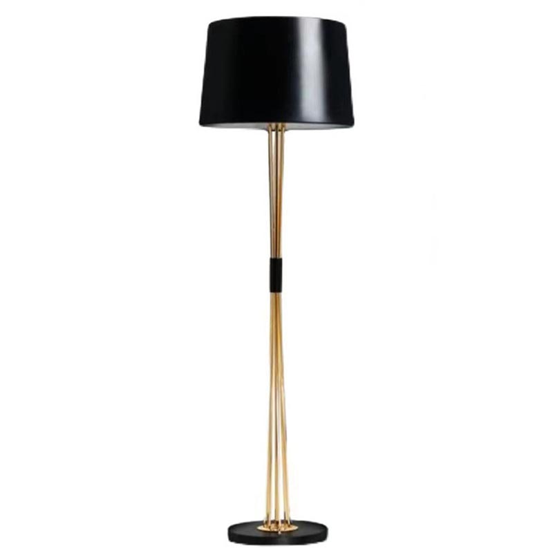 EPFL0475Modern Black and Gold Floor Lamp