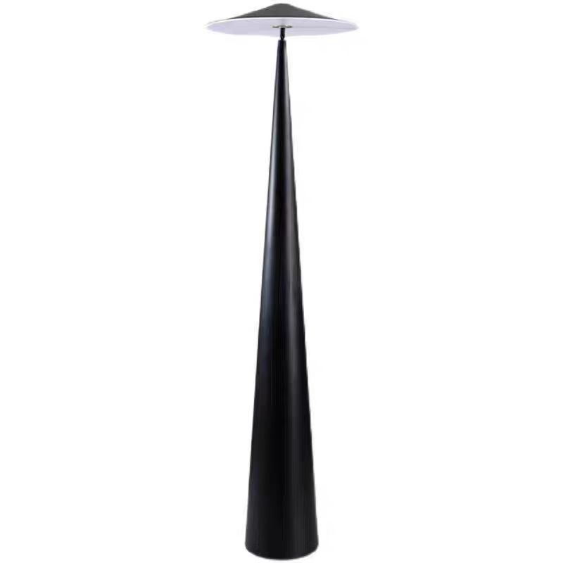EPFL0395Modern Black Metal Cone Floor Lamp