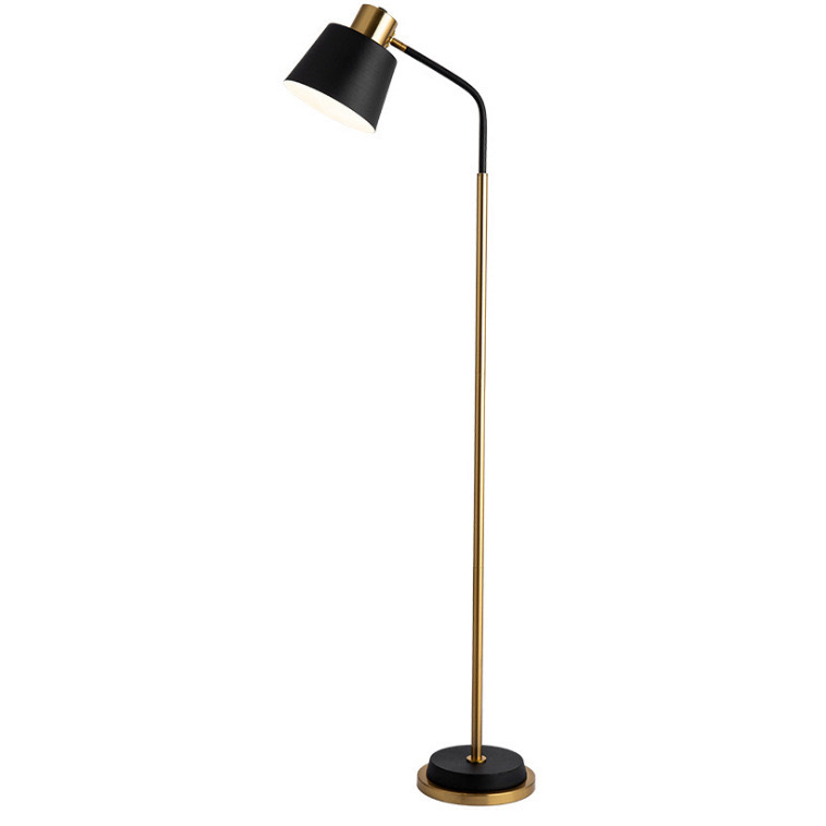 EPFL0450Modern Industrial Floor Lamp with Black Shade