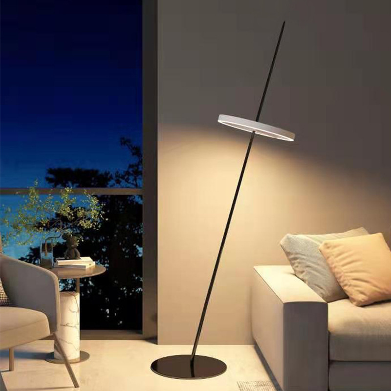 ring floor lamp (2)