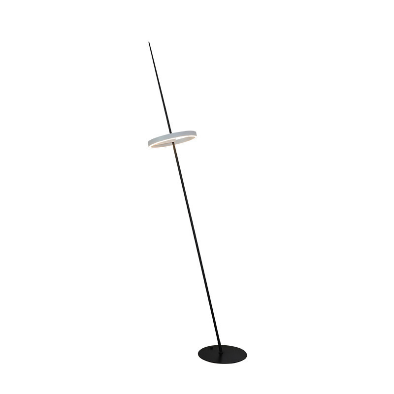 EPFL0419Nordic Style Asymmetrical Ring Floor Lamp
