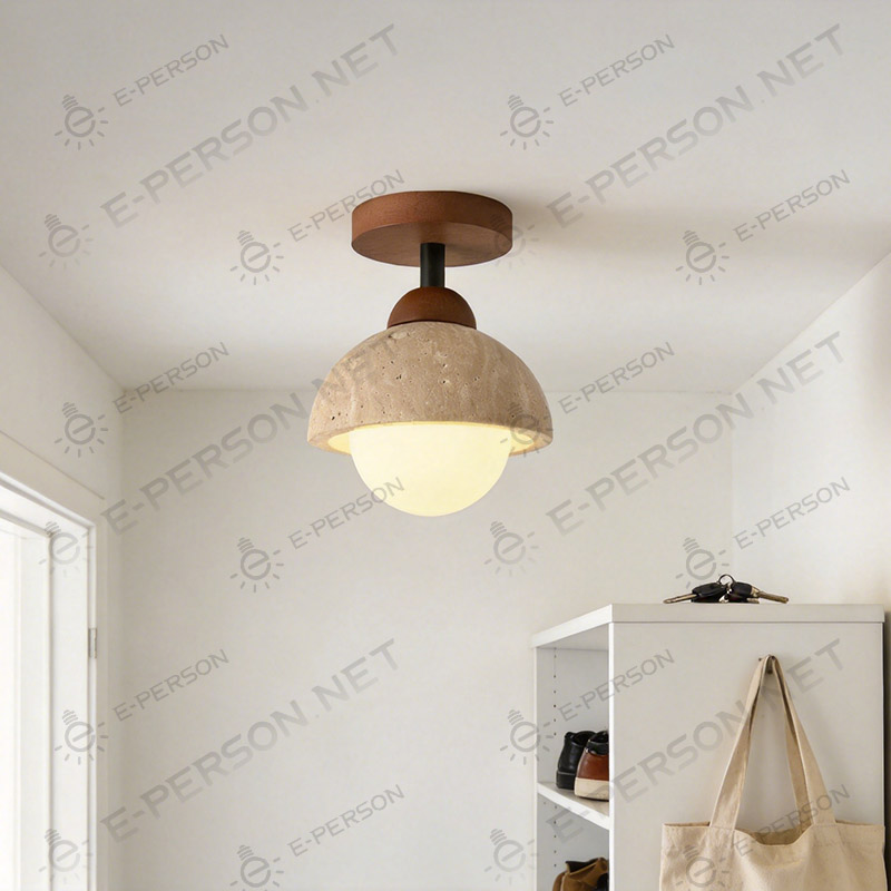 LED ceiling light (1)