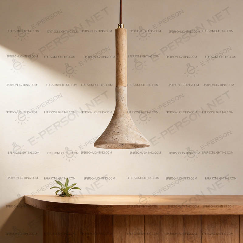 modern pendant light (2)
